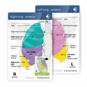 eNurse Assessment Card Value Pack - Image 6