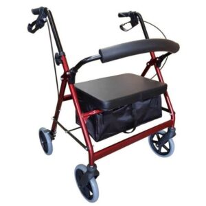 Days Heavy Duty Walker - Image 2