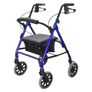 Days Seat Walker - Image 2