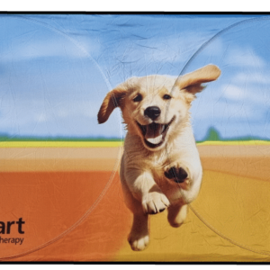 Medimart Car Sun Shade | Supporting Guide Dogs SA/NT - Image 2
