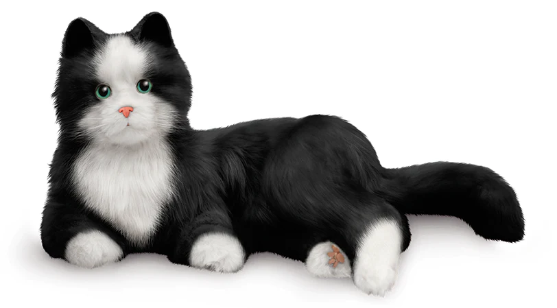 tuxedo_cat_03_cob_R1_1800x1800_1800x1800_607b1648-1269-4b47-b18c-d86fabe55c1a_1800x1800