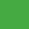 Lime | Tall